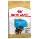 Royal Canin Yorkshire Terrier Puppy- за кучета порода йоркширски териер на възраст от 1 до 10 месеца 1.5 кг.